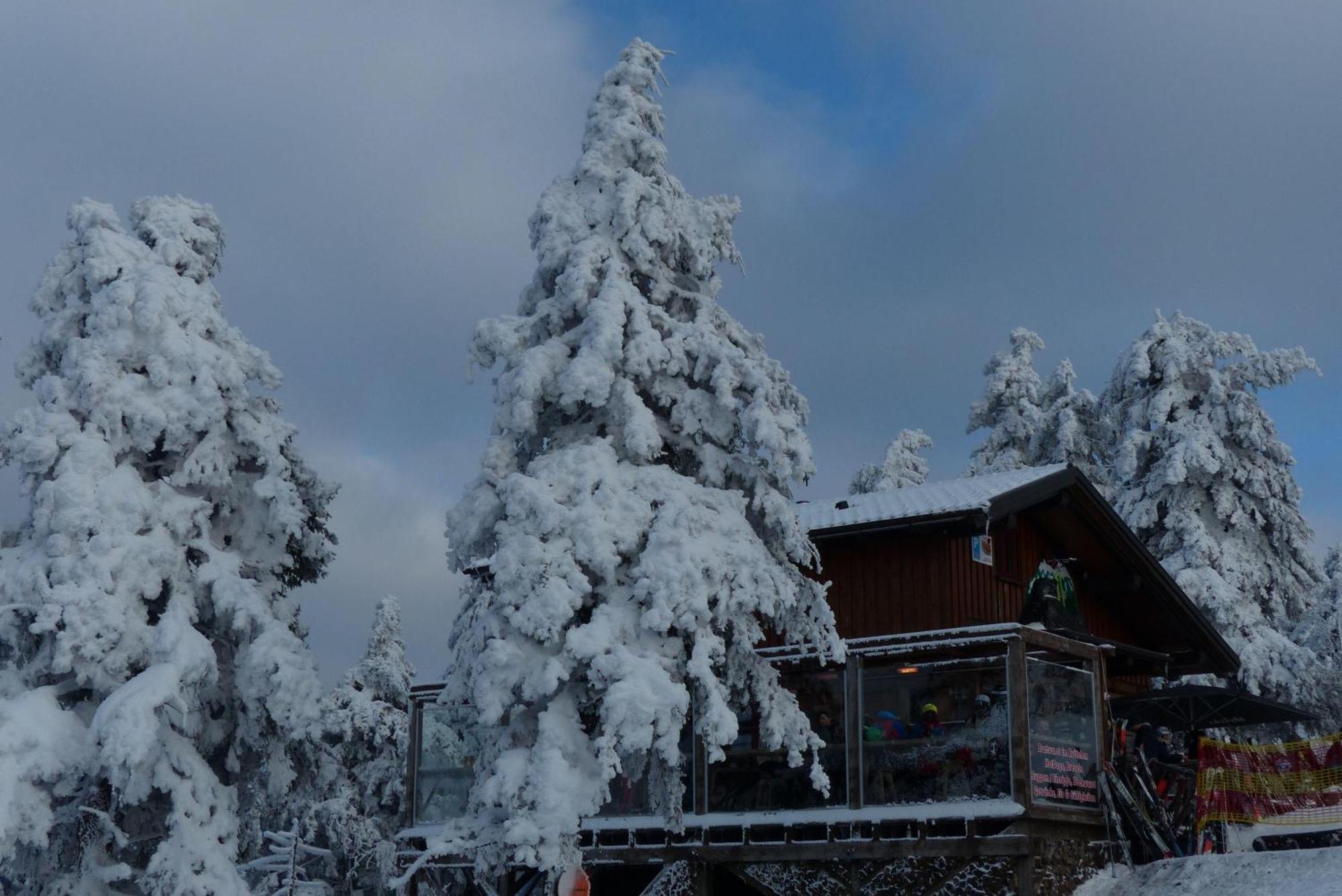 Ferienresidenz An Der Bode, Wohnung 1 Braunlage Buitenkant foto